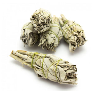 Californian White Sage Smudge Stick